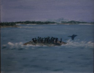 Skarvarna på klacken